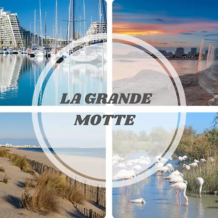 Flavie- Luxueuse - Confort Jardin Barcecue Borne Recharge Electrique 10min Plage- Famille-piscine-top Pros Services Conciergerie 라테
