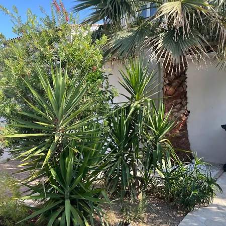 Flavie- Luxueuse - Piscine Sous Le Soleil- Confort Jardin Barbecue -borne Recharge Electrique 10min Plage- Famille-piscine Lattes